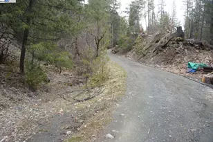 4990 Indian Creek Rd, Douglas City, CA 96024 - Photo 35