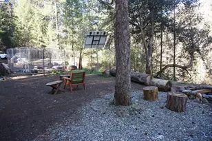 4990 Indian Creek Rd, Douglas City, CA 96024 - Photo 7