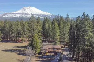 1324 Alves Dr, Weed, CA 96094 - Photo 49