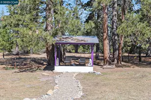 1324 Alves Dr, Weed, CA 96094 - Photo 45