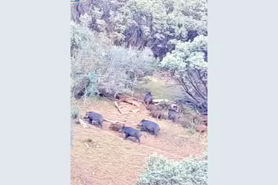 11821 Del Puerto Canyon Rd, Livermore, CA 94550 - Photo 25