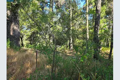 100 Black Log Rd, Kentfield, CA 94904 - Photo 5
