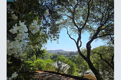 100 Black Log Rd, Kentfield, CA 94904 - Photo 25