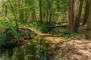 30 Dorleska Ct, Trinity Center, CA 96091 - Photo 41