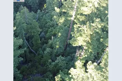[Address not provided], Boulder Creek, CA 95006 - Photo 3