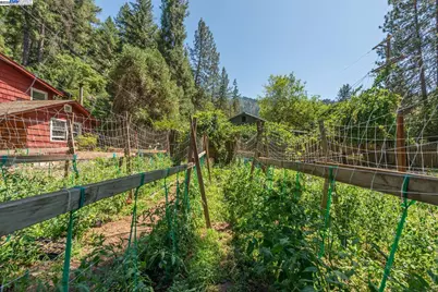 100 Wonder Stamp Ln, Big Bar, CA 96010 - Photo 39