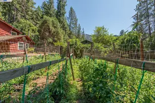 100 Wonder Stamp Ln, Big Bar, CA 96010 - Photo 39