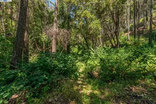 100 Wonder Stamp Ln, Big Bar, CA 96010 - Photo 47