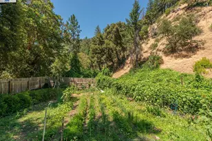 100 Wonder Stamp Ln, Big Bar, CA 96010 - Photo 33