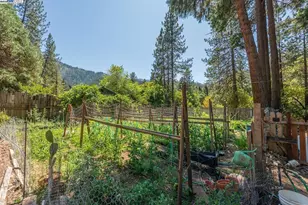 100 Wonder Stamp Ln, Big Bar, CA 96010 - Photo 37