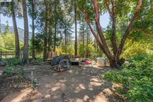 100 Wonder Stamp Ln, Big Bar, CA 96010 - Photo 35