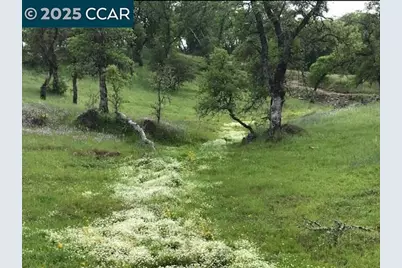 5098 Cantle Road, Copperopolis, CA 95228 - Photo 9