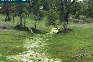 5098 Cantle Rd, Copperopolis, CA 95228 - Photo 9