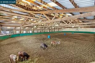 1101 N Gate Rd, Walnut Creek, CA 94598 - Photo 7