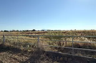 6943 Piper Rd, Bethel Island, CA 94511 - Photo 33