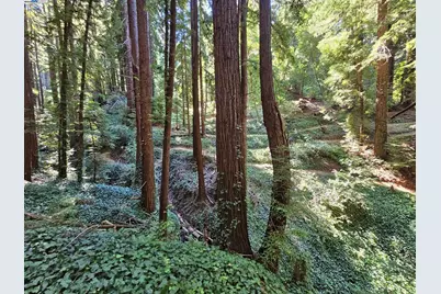 Lot26 Old La Honda Rd, Woodside, CA 94062 - Photo 5