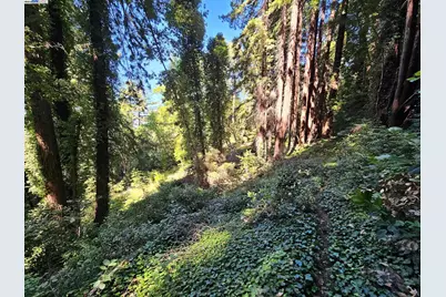 Lot27 Old La Honda Rd, Woodside, CA 94062 - Photo 5