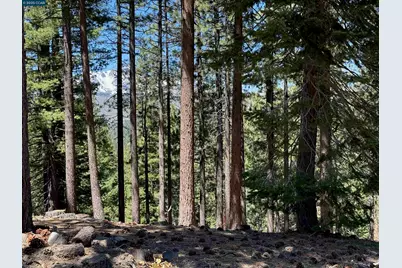 1578 Skyline Drive, South Lake Tahoe, CA 96150 - Photo 3