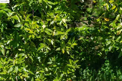 0 Fairview Ave, Richmond, CA 94805 - Photo 39