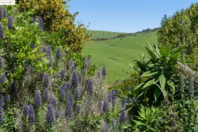 0 Fairview Ave, Richmond, CA 94805 - Photo 27