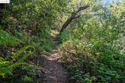 0 Fairview Ave, Richmond, CA 94805 - Photo 29