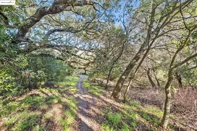 0 Fairview Ave, Richmond, CA 94805 - Photo 47