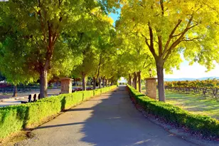 6740 Balfour Rd, Brentwood, CA 94513 - Photo 3