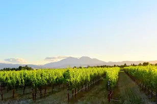 6740 Balfour Rd, Brentwood, CA 94513 - Photo 59