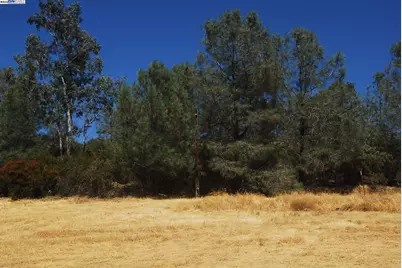 3341 Rancho Tierra Ct, Cameron Park, CA 95682 - Photo 3