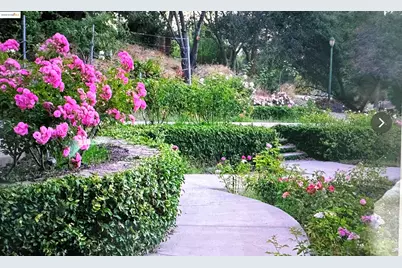 567 Oakland Ave. #101, Oakland, CA 94611 - Photo 41