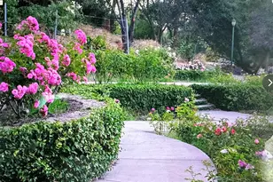 567 Oakland Ave, Oakland, CA 94611 - Photo 41