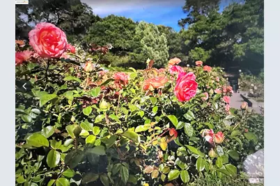 567 Oakland Ave. #101, Oakland, CA 94611 - Photo 43