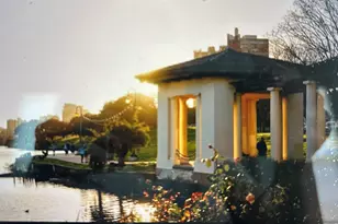 567 Oakland Ave, Oakland, CA 94611 - Photo 47