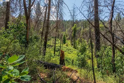 181 Price Creek Rd, Big Bar, CA 96010 - Photo 47