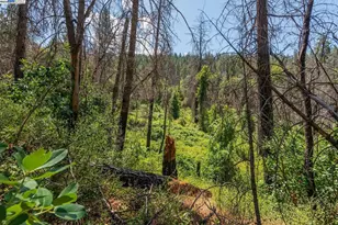 181 Price Creek Rd, Big Bar, CA 96010 - Photo 47