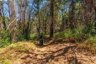 181 Price Creek Rd, Big Bar, CA 96010 - Photo 37