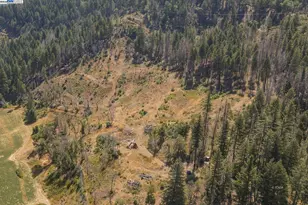 181 Price Creek Rd, Big Bar, CA 96010 - Photo 41