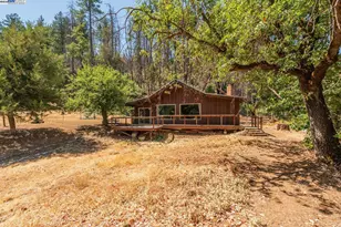 181 Price Creek Rd, Big Bar, CA 96010 - Photo 33