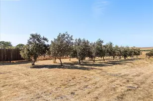 5665 Victoria Ln, Livermore, CA 94550 - Photo 51