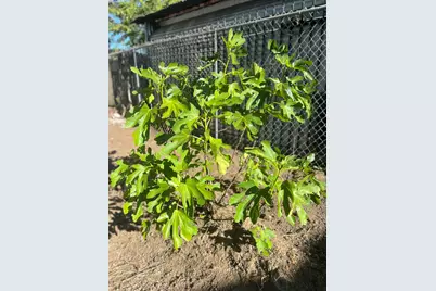 128 Tuolumne St, Vallejo, CA 94590 - Photo 7