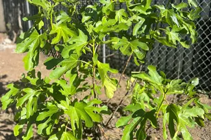 128 Tuolumne St, Vallejo, CA 94590 - Photo 7