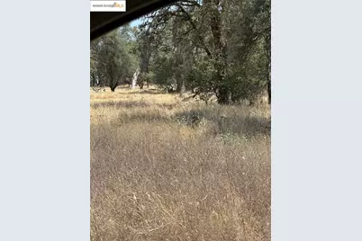 18891 Tanglewood Hollow Way, Grass Valley, CA 95949 - Photo 13