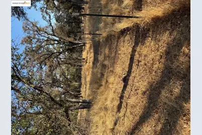 18891 Tanglewood Hollow Way, Grass Valley, CA 95949 - Photo 19