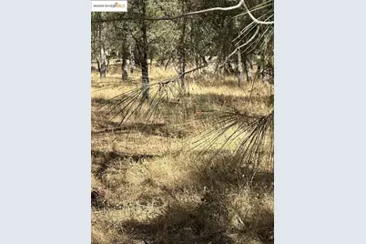 18891 Tanglewood Hollow Way, Grass Valley, CA 95949 - Photo 15