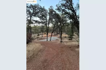 18891 Tanglewood Hollow Way, Grass Valley, CA 95949 - Photo 15