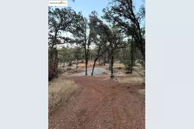 18891 Tanglewood Hollow Way, Grass Valley, CA 95949 - Photo 11