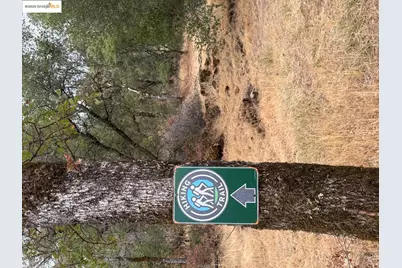 18891 Tanglewood Hollow Way, Grass Valley, CA 95949 - Photo 9