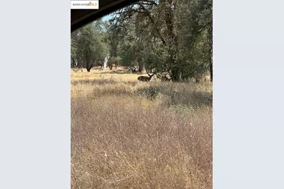 18891 Tanglewood Hollow Way, Grass Valley, CA 95949 - Photo 17