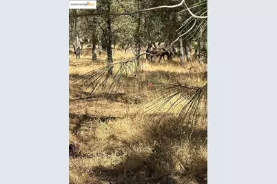 18891 Tanglewood Hollow Way, Grass Valley, CA 95949 - Photo 19