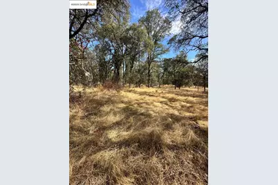 18891 Tanglewood Hollow Way, Grass Valley, CA 95949 - Photo 17